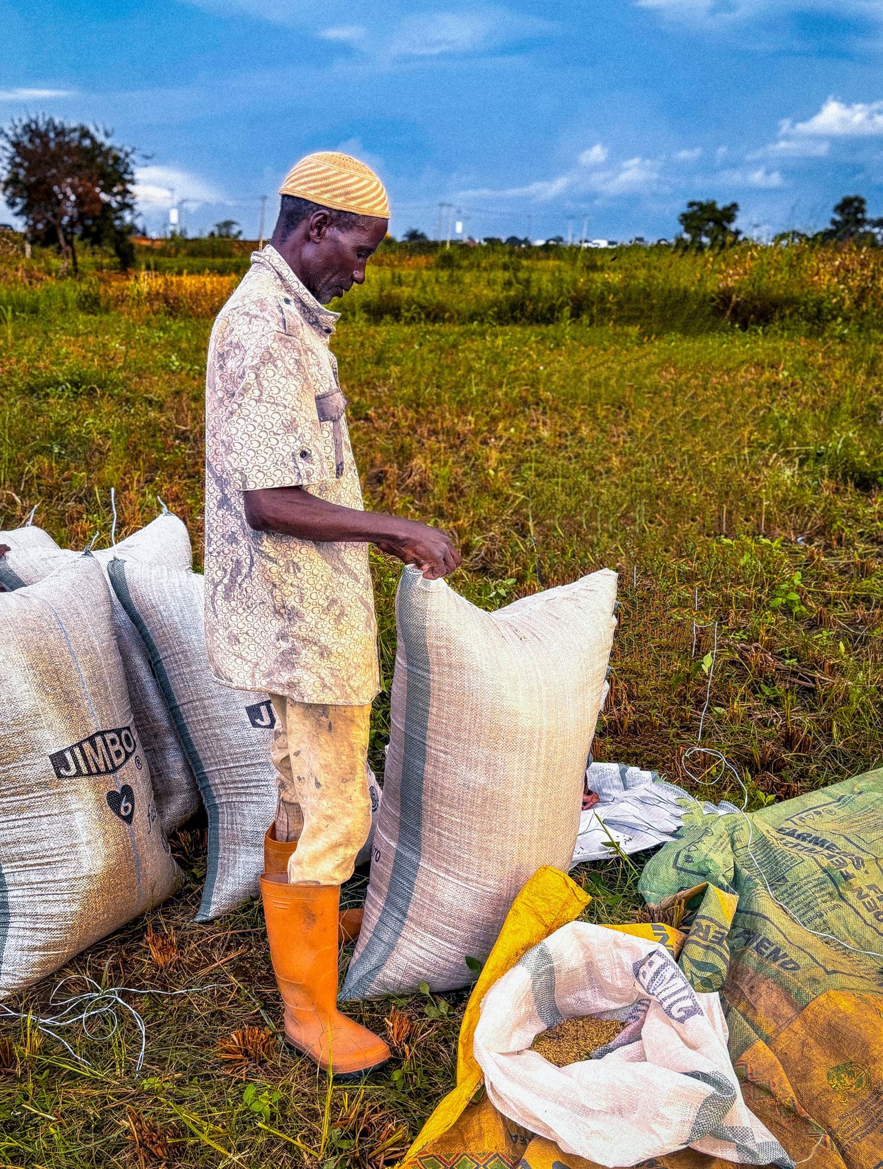 A farmer packing harvest in Kaduna, Nigeria